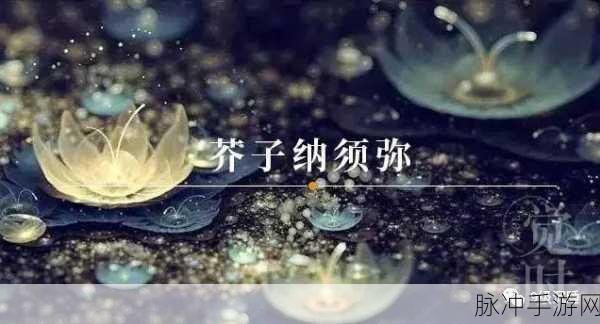 须弥真言：探寻须弥真言的深邃智慧与灵性启示