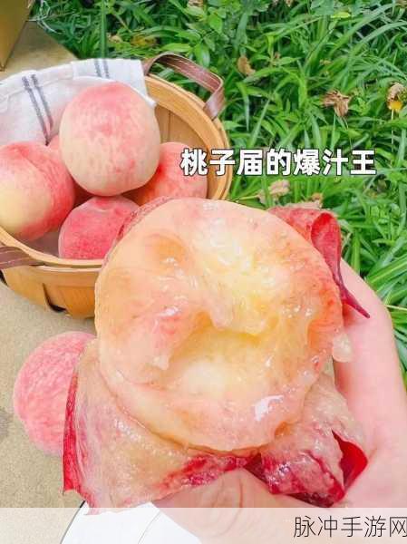 坤坤申到桃子里：坤坤的桃子世界：探索无限可能与甜蜜梦想