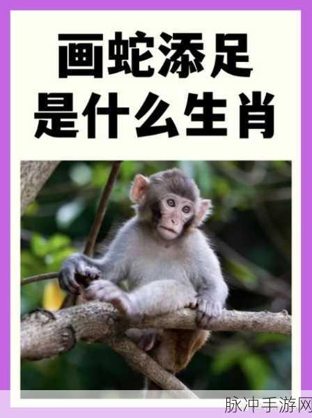 巧取三六和九数是什么生肖：巧取三六九，揭示生肖背后的秘密与趣味分析