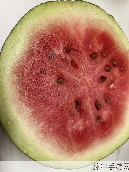黑瓜料网：黑瓜料网：探索独特美味与健康生活的完美结合