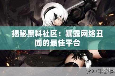 稀缺另类网爆黑料：揭秘稀缺另类网红黑料背后的真相与内幕