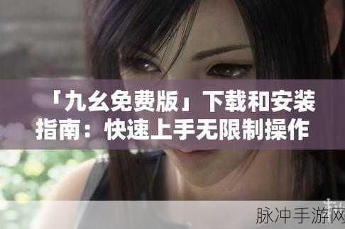 九幺9.1旧版安装高风险：九幺9.1旧版安装存在高风险，需谨慎操作与选择。