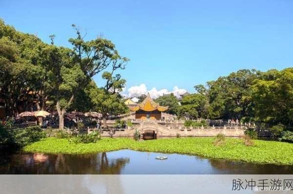 动漫人物一起嗟嗟嗟免费观：与动漫角色共度欢乐时光，尽享免费观影盛宴