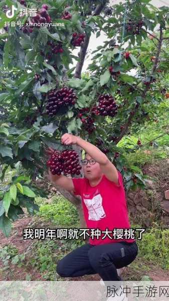 樱桃在线直播：多元化拓展樱桃在线直播平台，提升用户互动体验和内容丰富性