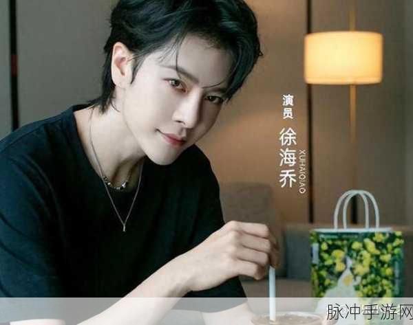 徐海乔老婆：徐海乔的妻子揭秘：她是谁，背后故事大曝光！
