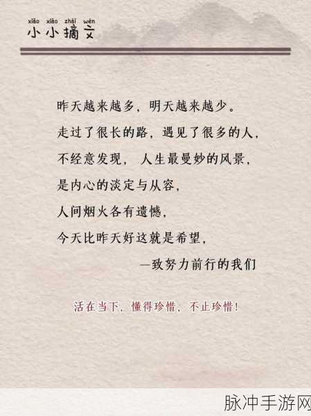 零落飘摇之主人的男人们：探寻零落飘摇之主人的男人们的内心世界与人生轨迹