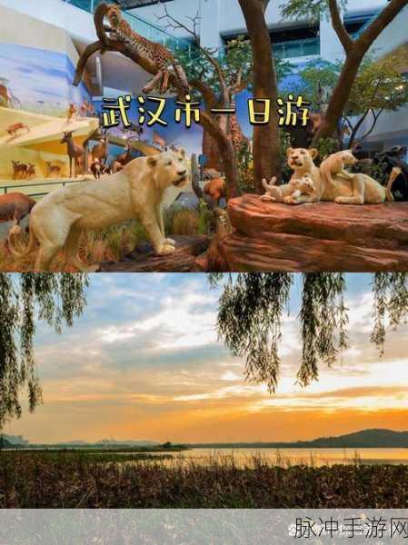 亚洲一区二区 精华：探索亚洲独特文化：每个角落的精彩与魅力