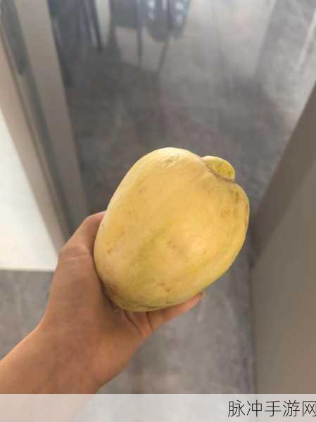 黑料吃瓜天堂：深入探索黑料背后的真相与内幕，揭开吃瓜天堂的神秘面纱。