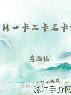 久久国产一卡二卡三卡：探索一卡二卡三卡的多种用途与应用场景解析