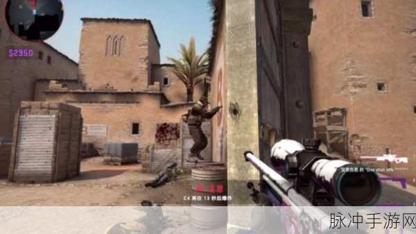 55岁大妈玩csgo：55岁大妈勇闯CSGO，展现不一样的游戏魅力与激情