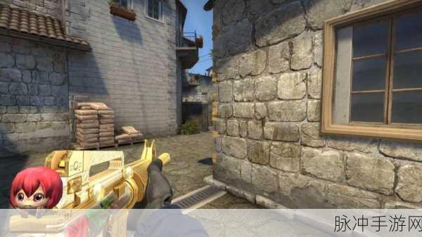 55岁大妈玩csgo：55岁大妈勇闯CSGO，展现不一样的游戏魅力与激情