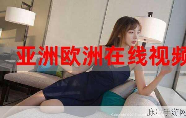 亚洲码欧洲码一区二区三区：“全面解析亚洲码与欧洲码的区别及应用场景”