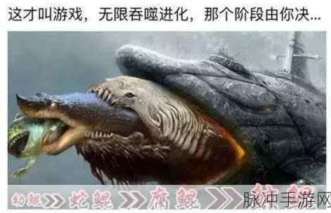 把鲲放进欧派里会怎么样吗：如果把鲲放进欧派里，会发生怎样奇幻的故事？