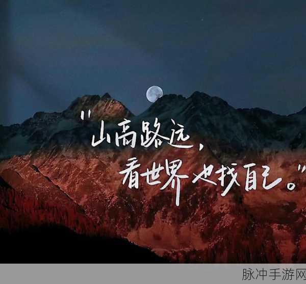 woaigao：探索我爱高的无限魅力与深刻意义