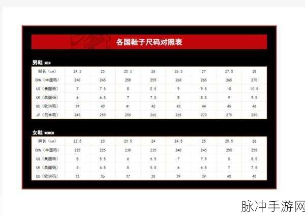 欧亚尺码专线欧洲b1b1免费：全面解析欧亚尺码，轻松了解欧洲B1B1免费专线