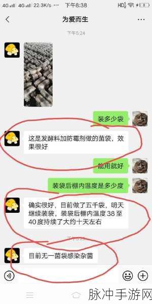 蘑菇黑料网曝门黑料：“拓展蘑菇黑料网曝门内幕揭秘，引发广泛关注”