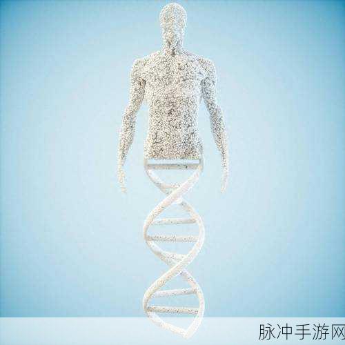 非洲人性功能强大的基因研究：探索非洲人群中性功能强大的基因及其遗传机制研究