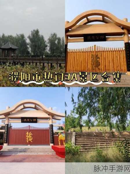 草留：草原的魅力与生态保护的重要性探索