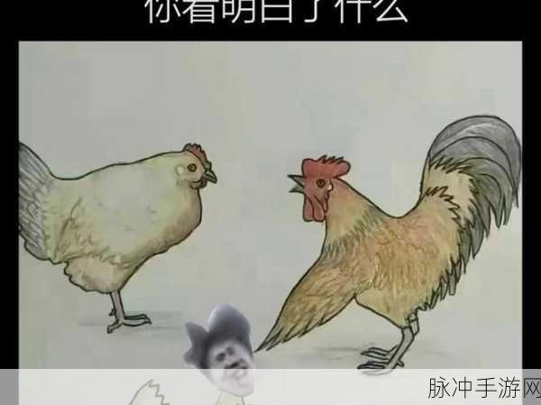 坤坤戳进：坤坤戳进：探索偶像成长背后的故事与心路历程