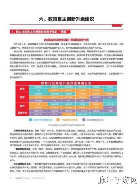国产一 国产二：推动国产一、国产二的创新与发展路径研究