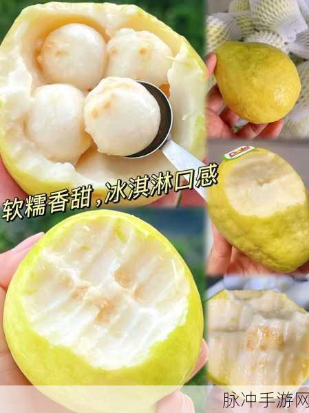 草莓 视频芭乐十八：探索草莓的全新美味，尽享芭乐十八种创意吃法！