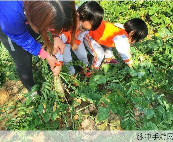 猫娘拔萝卜,无马赛克：猫娘与兔子一起拔萝卜，趣味无穷乐翻天！
