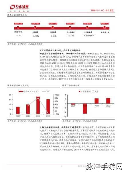 国产123区：深入解析国产123区的市场潜力与发展前景