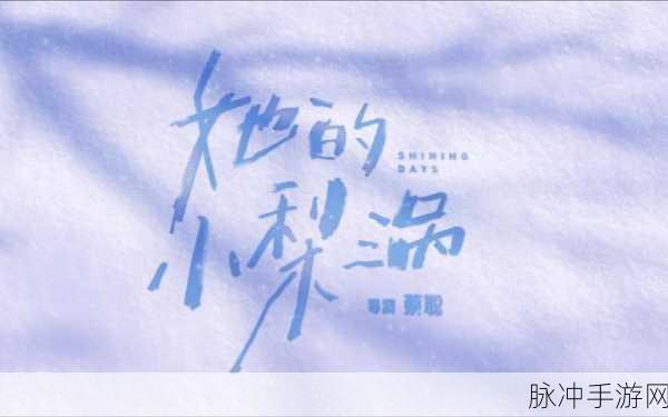 188427神秘电影在线观看最终结局：188427神秘电影终极揭秘：真相与阴谋的交织