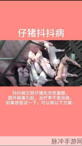 两只小兔子在衬衫里抖来抖去：衬衫里的小兔子：欢快抖动的萌趣时刻