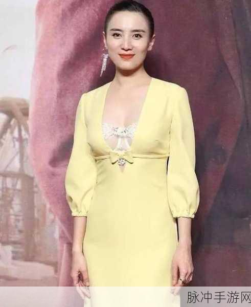 chinese熟女：优雅成熟的中国女性：魅力与智慧并存的人生旅程
