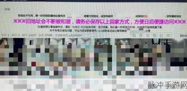 深夜禁用18大网站：深夜上网必避，18大禁用网站全揭秘！