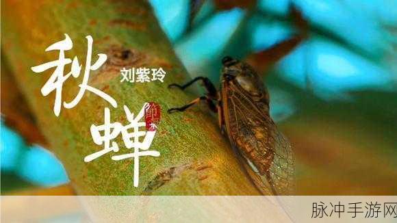 yy漫画秋蝉ssS：秋蝉之歌：在岁月中追寻爱的印记