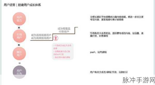 免费b站推广网站入口202：全面解析2023年免费B站推广网站的入口与策略