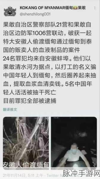 缅甸北部血腥网站2023更新：2023年缅甸北部冲突加剧，血腥网站内容更新频繁引发关注