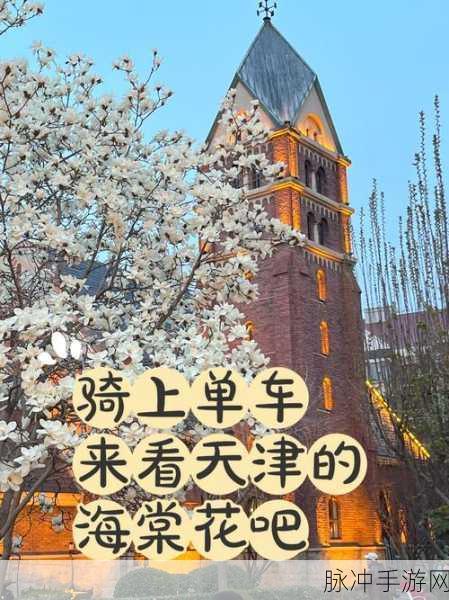 海棠男二也要被爆炒吗：拓展海棠男二角色，是否也要遭遇热炒？