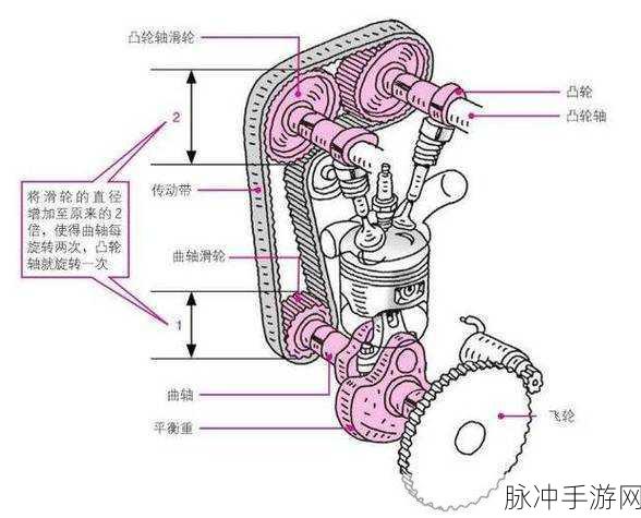 性别 自由 凸轮 管：探索性别多样性与自由表达的凸轮管新理念