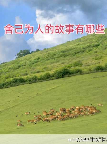 老孙头的幸福春天30集：老孙头的幸福春天：追寻梦想与生活的温暖故事