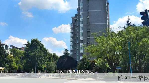 天美麻花星空免费观看乡村版：天美麻花星空免费观看乡村版：欢乐与感动的田园奇遇