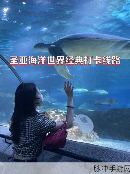 美女污应用：探索多样化的美女污应用，尽享无限魅力与乐趣！