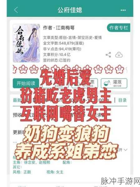 公府佳媳陆丰的cp：陆丰佳媳携手共创公府荣耀传奇