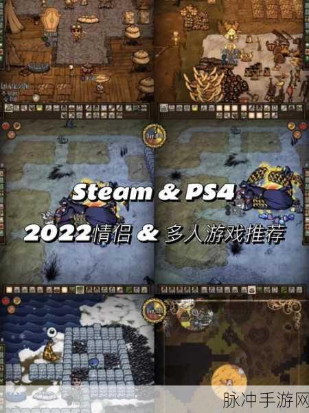 疯狂的一家ps4小说：疯狂一家：在PS4游戏中重建温暖的家庭