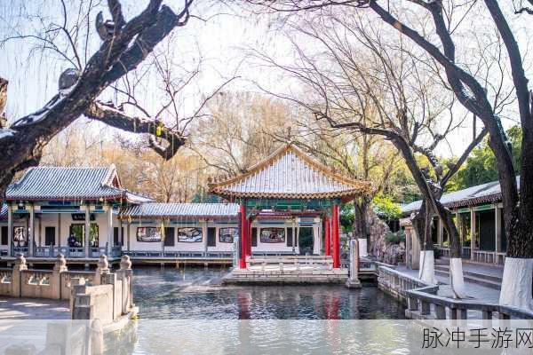 汤姆叔叔2024最新网名：汤姆叔叔2024：追逐梦想，勇敢前行的旅程与故事