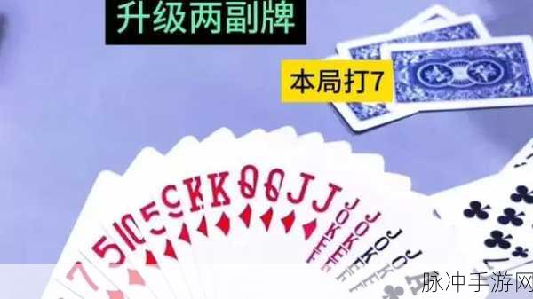 连夜打扑克：深夜激情牌局，连战不休乐翻天