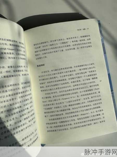 外国黄冈：探索全球黄冈教育的成功经验与启示