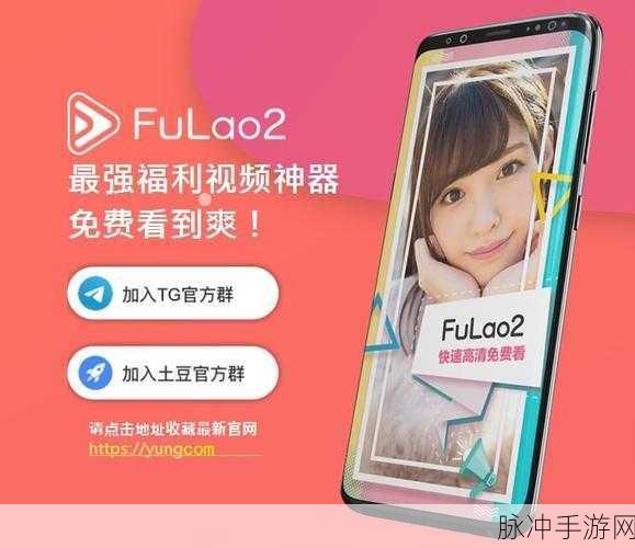 fulao2国内载点检测线路：扩展fulao2国内检测线路以提升网络覆盖与服务质量