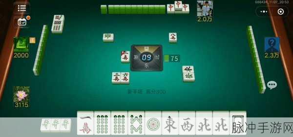 九幺9.1轻量版：九幺9.1轻量版全面升级，优化体验与性能提升
