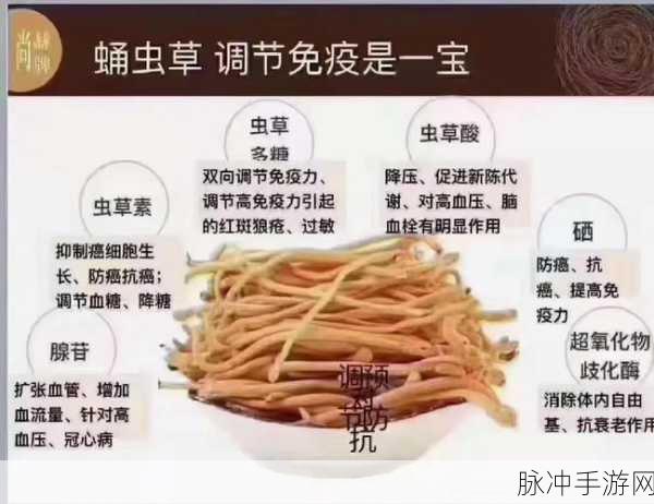 天天躁恨躁夜躁202：夜夜难眠，心中烦躁情绪翻涌不息的生活