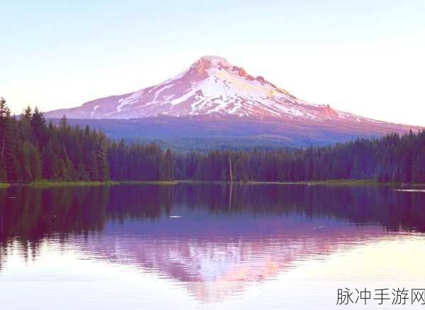 xaxwaswaswasxilxilx69P R O N：探索xaxwaswaswasxilxilx69P R O N背后的奥秘与魅力