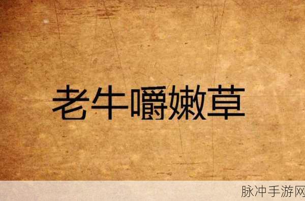 老牛嫩草一区二区三区眼镜：老牛嫩草领域的时尚眼镜，展现独特魅力与风格