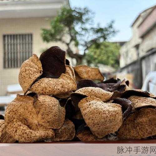 一线产区和二线产区的气候条件：一线产区与二线产区的气候条件详解分析
